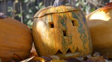 Oyma halloween pumpkins dekor dışarıda bekle. Sonbahar tatil hazırlanma