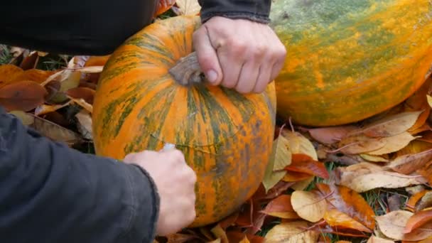 Mano maschile taglia la parte superiore della zucca con un coltello affilato per tagliare la zucca per Halloween — Video Stock