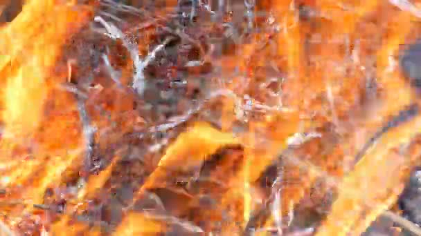 Trockenes Gras wird aus nächster Nähe verbrannt und qualmt — Stockvideo