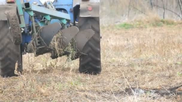 Blue tractor plowing steel furrows in ground in late autumn — Stock Video