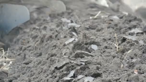 Сталеві тракторні борозни плугають землю в кінці осені крупним планом — стокове відео
