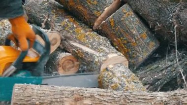 Testere ile bir adam oduncu bir yangın için ağaç gövdeleri keser