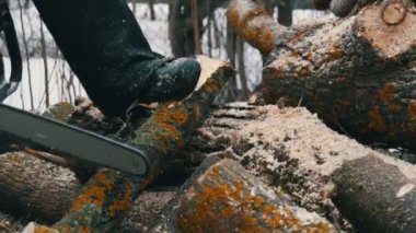 Testere ile bir adam oduncu bir yangın için ağaç gövdeleri keser