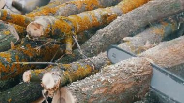 Kış aylarında testere testereler kullanarak lumberman