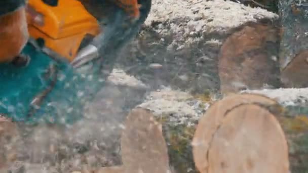 Scie à chaîne sciage du bois sec couché sur le sol — Video
