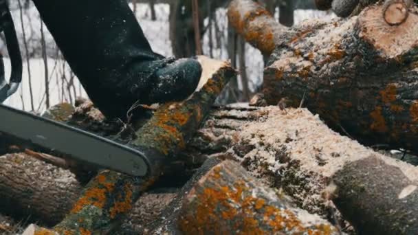 Ένας άνθρωπος ξυλοκόπτης με αλυσοπρίονο κόβει κορμούς δέντρων για φωτιά. — Αρχείο Βίντεο