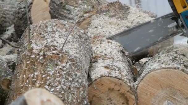 Motosserra azul corta troncos de árvores para um incêndio — Vídeo de Stock