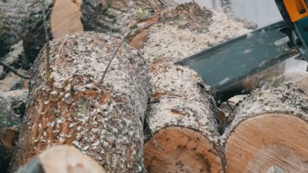 La motosierra azul corta troncos de árbol para un incendio — Vídeo de stock