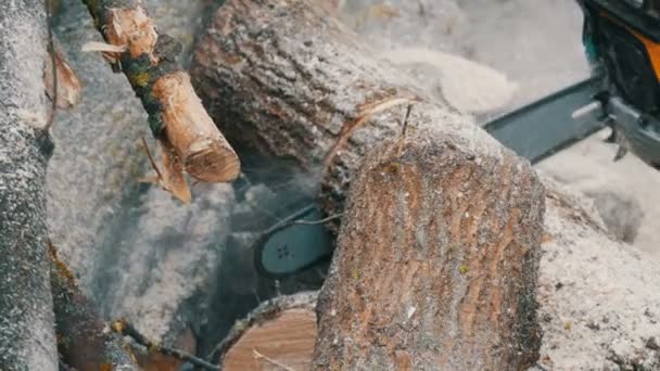 La motosierra azul corta troncos de árbol para un incendio — Vídeo de stock