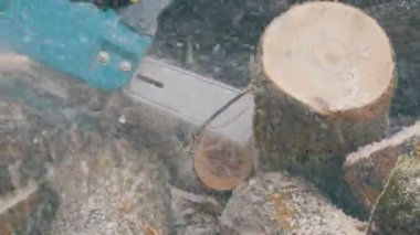 Kış aylarında testere testereler kullanarak lumberman