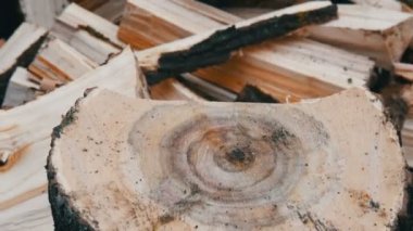 Adam oduncu pirzola ağaç gövdeleri, odun için bir balta ile yakın görüş