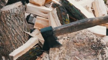 Büyük eski ahşap balta bir kesim günlüğünün arka planda ağaç gövdeleri aşağı pirzola
