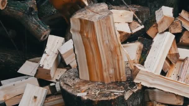 Большой деревянный топор рубит стволы деревьев на заднем плане обрезанного бревна — стоковое видео