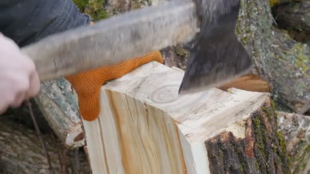 Homem cortador de madeira costeletas troncos de árvore com um machado para lenha vista de perto — Vídeo de Stock