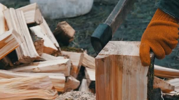 Человек дровосек рубит стволы деревьев топором для дров — стоковое видео