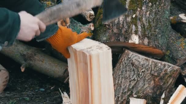 Чоловічі руки подрібнюють великі колоди і стовбури дерев сокирою для майбутнього вогню — стокове відео