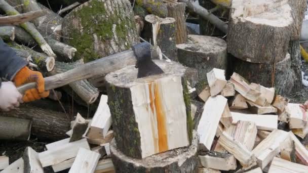 Mans hands chop large logs and tree trunks with ax for a future fire — Stock Video