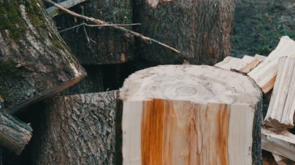 Man woodcutter chops tree trunks with an ax for firewood — Stock Video