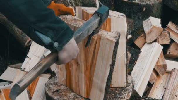 Mans mains hacher de grandes bûches et troncs d'arbres avec de la hache pour un futur feu 