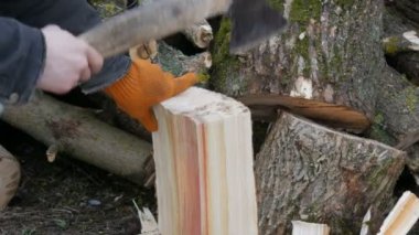 Adam oduncu pirzola ağaç gövdeleri bir balta ile odun için