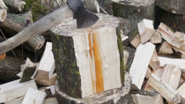 Mans mains hacher de grandes bûches et troncs d'arbres avec de la hache pour un futur feu 