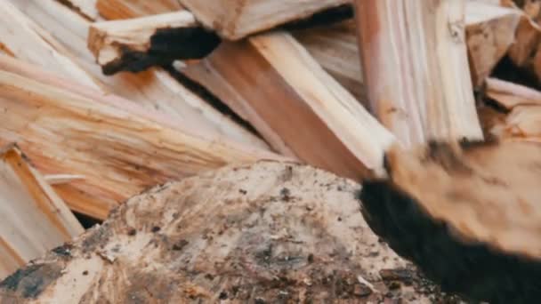 Homme bûcheron côtelettes troncs d'arbre avec une hache pour bois de chauffage vue rapprochée 