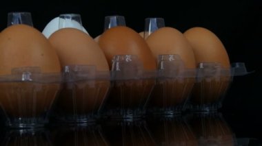 Beyaz arka planda şeffaf bir plastik tepsisinde büyük kahverengi ve bir beyaz tavuk yumurtası