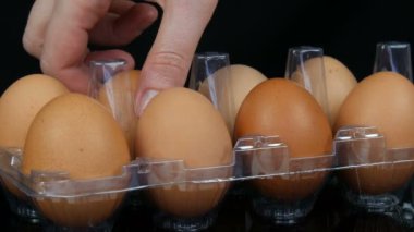 Beyaz arka planda şeffaf bir plastik tepsi büyük kahverengi tavuk yumurtası