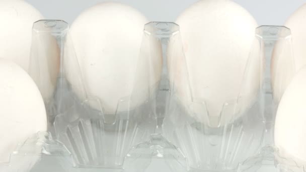 Grands œufs de poulet blancs dans un plateau en plastique transparent sur fond blanc — Video
