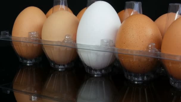 Velká hnědá a jedna bílá Kuřecí vejce v průhledném plastovém zásobníku na bílém pozadí — Stock video