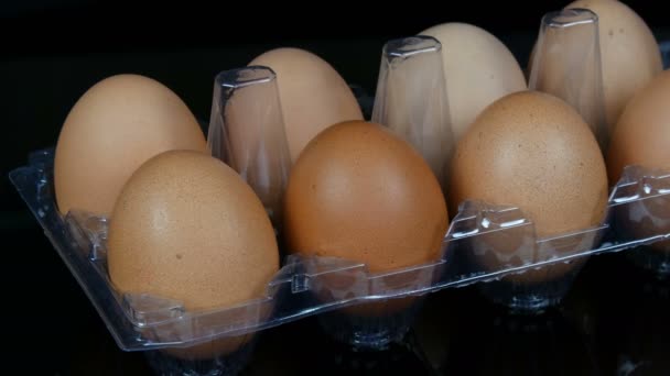 Huevos grandes de pollo marrón en una bandeja de plástico transparente sobre fondo blanco — Vídeos de Stock