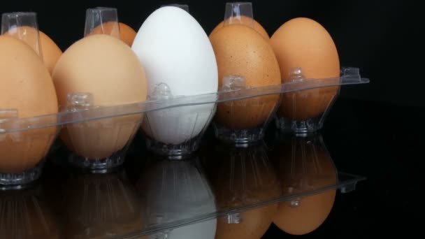 Large brown and one white chicken eggs in a transparent plastic tray on white background — Stock Video