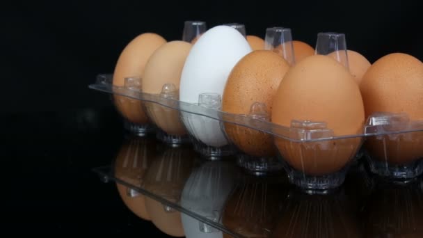 Grande marrom e um branco ovos de galinha em uma bandeja de plástico transparente no fundo branco — Vídeo de Stock