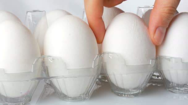 Huevos de pollo blancos grandes en bandeja de plástico transparente sobre un fondo blanco — Vídeos de Stock
