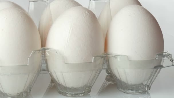 Velká bílá Kuřecí vejce v průhledném plastovém zásobníku na bílém pozadí — Stock video