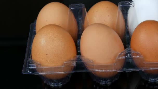 Huevos grandes de pollo marrón y uno blanco en una bandeja de plástico transparente sobre fondo blanco — Vídeo de stock