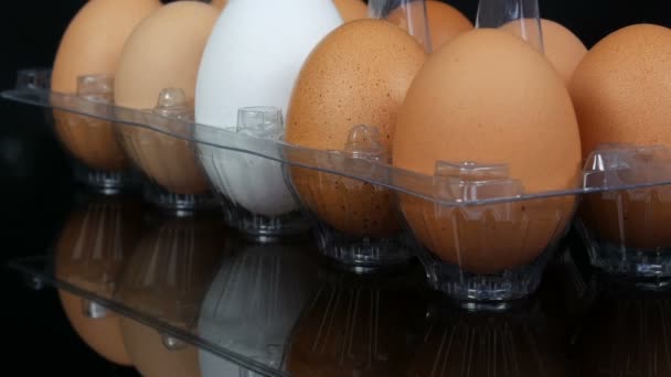 Suuri ruskea ja yksi valkoinen kananmunat läpinäkyvä muovi tarjotin valkoisella pohjalla — kuvapankkivideo
