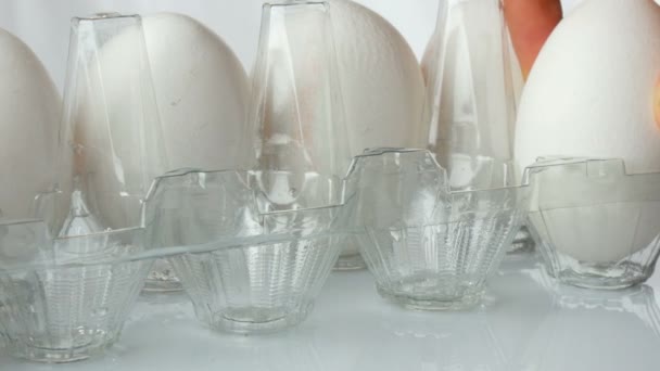 Большие белые куриные яйца в прозрачном пластиковом подносе на белом фоне — стоковое видео