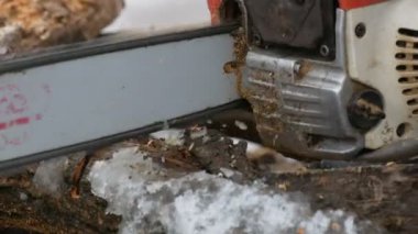 Ateş ağaç gövde kesilmiş eski testere görünümü yakın