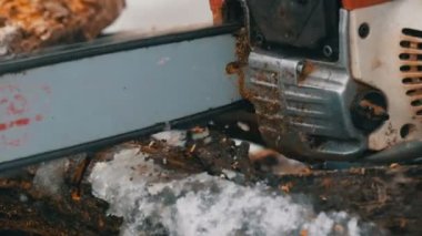 Ateş ağaç gövde kesilmiş eski testere görünümü yakın