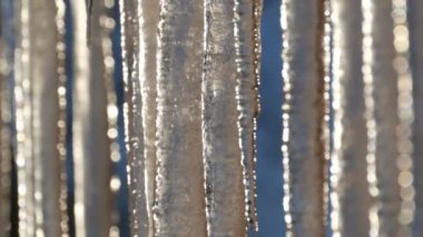 Çatılardan asılı büyük kalın buz sarkıtları Bahar güneşi altında eriyor