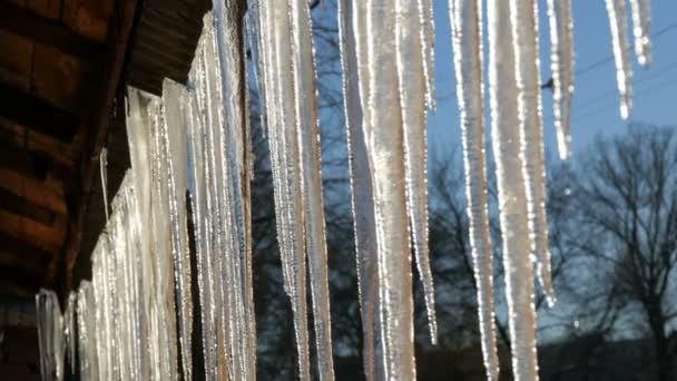 Riesige dicke Eiszapfen, die von den Dächern hängen, schmelzen in der Frühlingssonne — Stockvideo