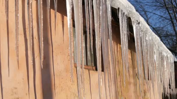 Çatılardan asılı büyük kalın buz sarkıtları Bahar güneşi altında eriyor — Stok video