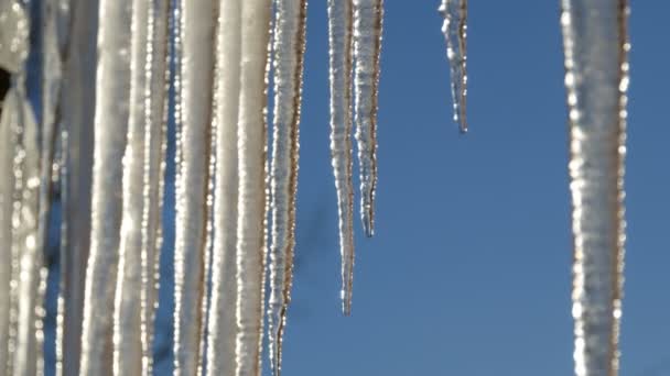 美丽的大融化的冰柱对蓝天 — 图库视频影像