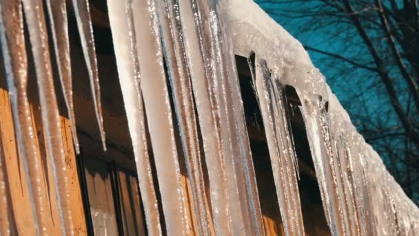 Riesige dicke Eiszapfen, die von den Dächern hängen, schmelzen in der Frühlingssonne — Stockvideo