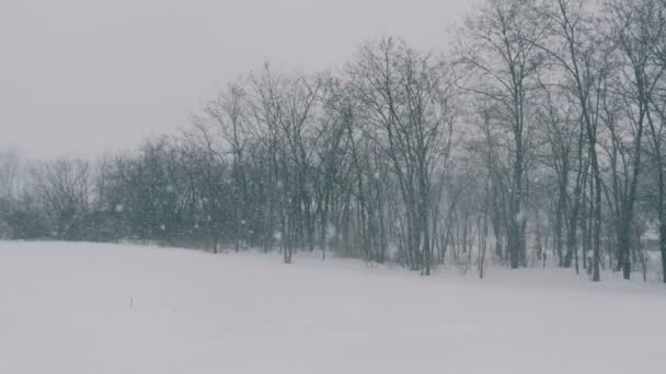 Zimní krajina v lese a hřiště, padající sníh. — Stock video