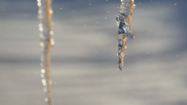 屋根からぶら下がっている巨大な厚い氷柱が春の太陽の下で溶けている — ストック動画