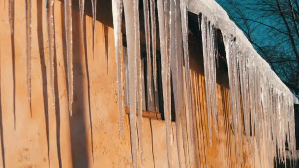 Los carámbanos de hielo muy gruesos en el techo se derriten en invierno . — Vídeo de stock