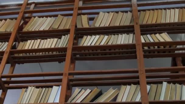 Beaucoup de vieux livres sur les étagères de la bibliothèque — Video