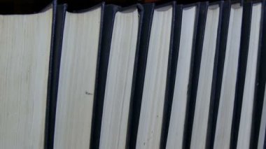 Kütüphanede bir kitaplıkta büyük eski kitapların satırı